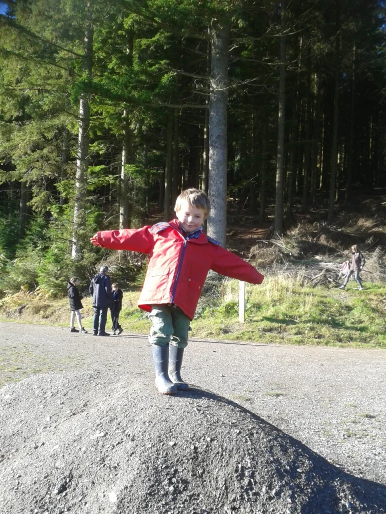 Whinlatter Forest